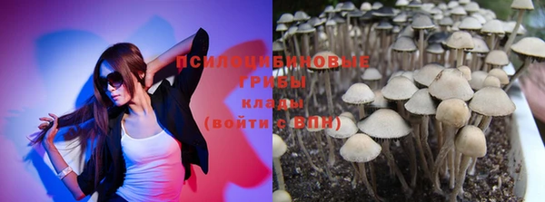 гидра Елизово