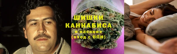 метадон Ельня