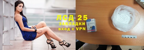 гидра Елизово