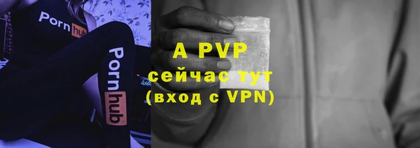 гидра Елизово