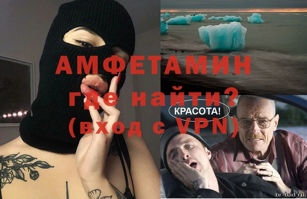 гидра Елизово
