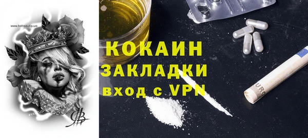 метадон Ельня