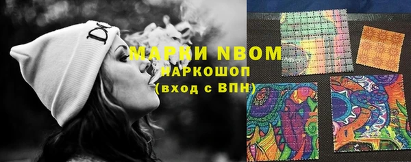метадон Ельня