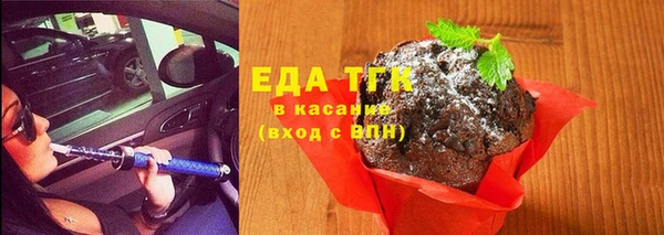 гидра Елизово