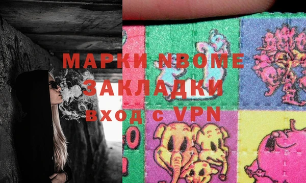 гидра Елизово