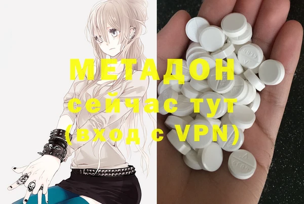 гидра Елизово