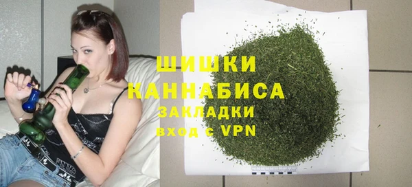метадон Ельня