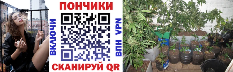 где продают   Знаменск  Марихуана конопля 
